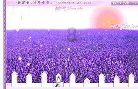 迷失在黑洞里
