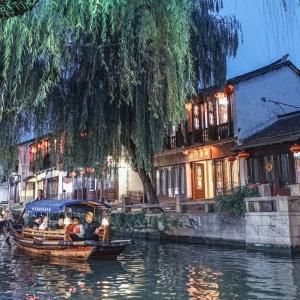 饥饿的松鼠救援
